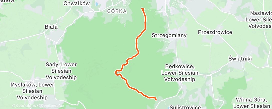 Карта физической активности (Lunch Trail Run)