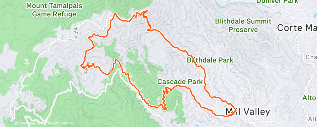 Карта физической активности (Therapy TAM)