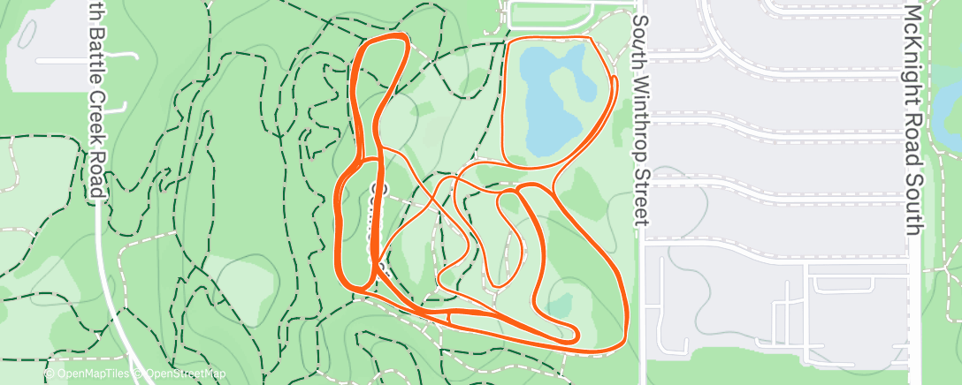 Карта физической активности (Skate intervals with Dan)