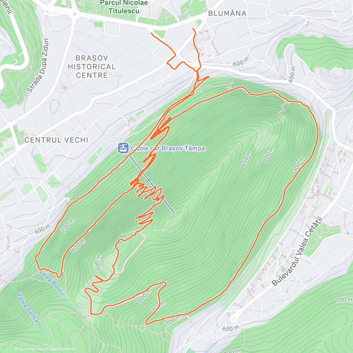 Карта физической активности (268/365)