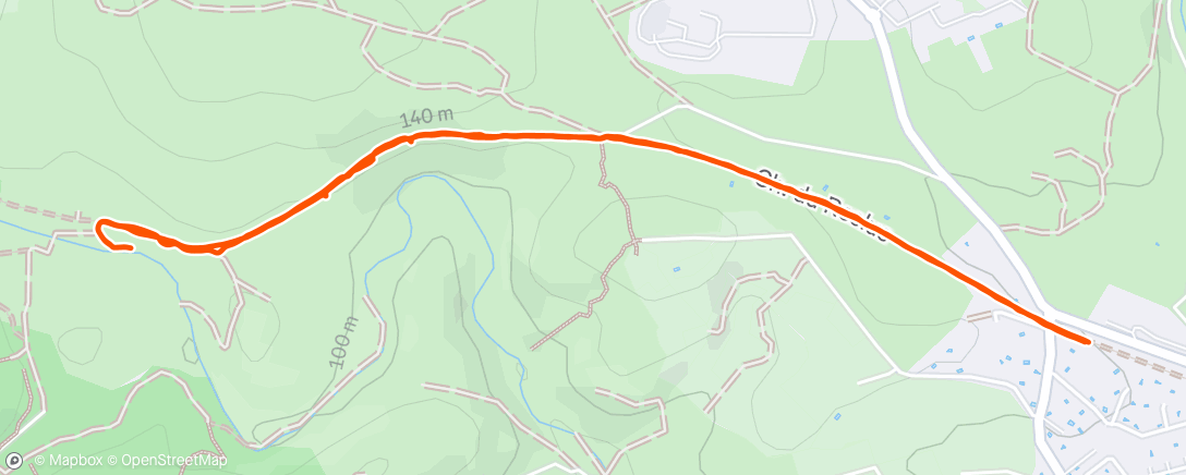 Карта физической активности (Marche avec Gaëlle ❤️ et ti chien 🐶)