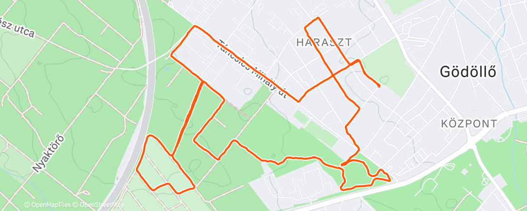 Map of the activity, Morning Run