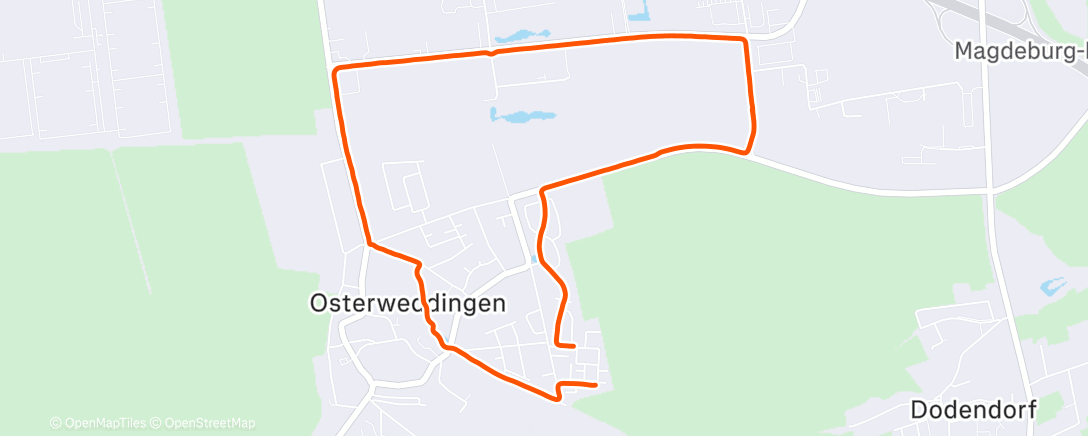 Карта физической активности (Lauf am Nachmittag)