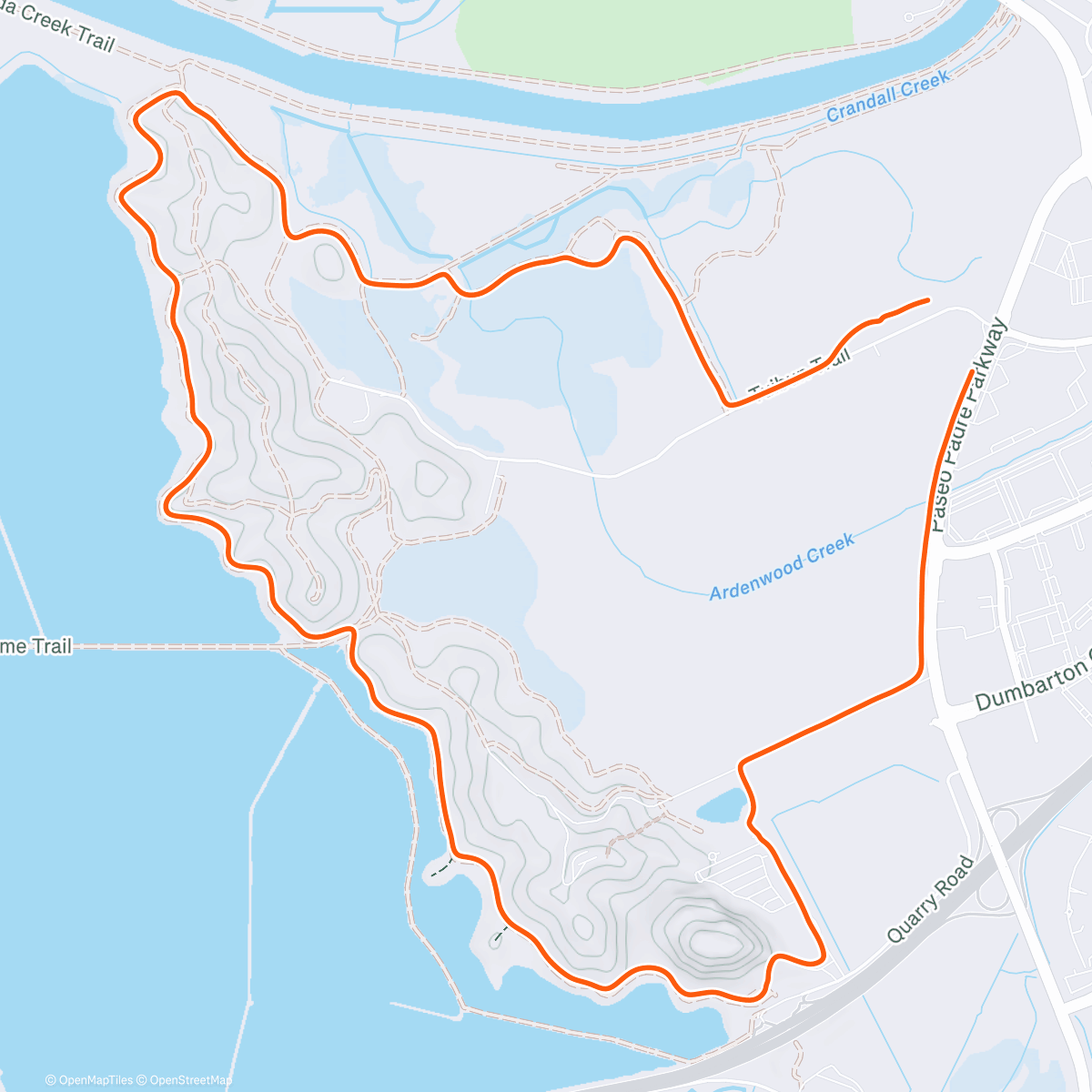 Карта физической активности (Sunny CH)