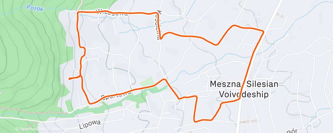 Map of the activity, Afternoon Run