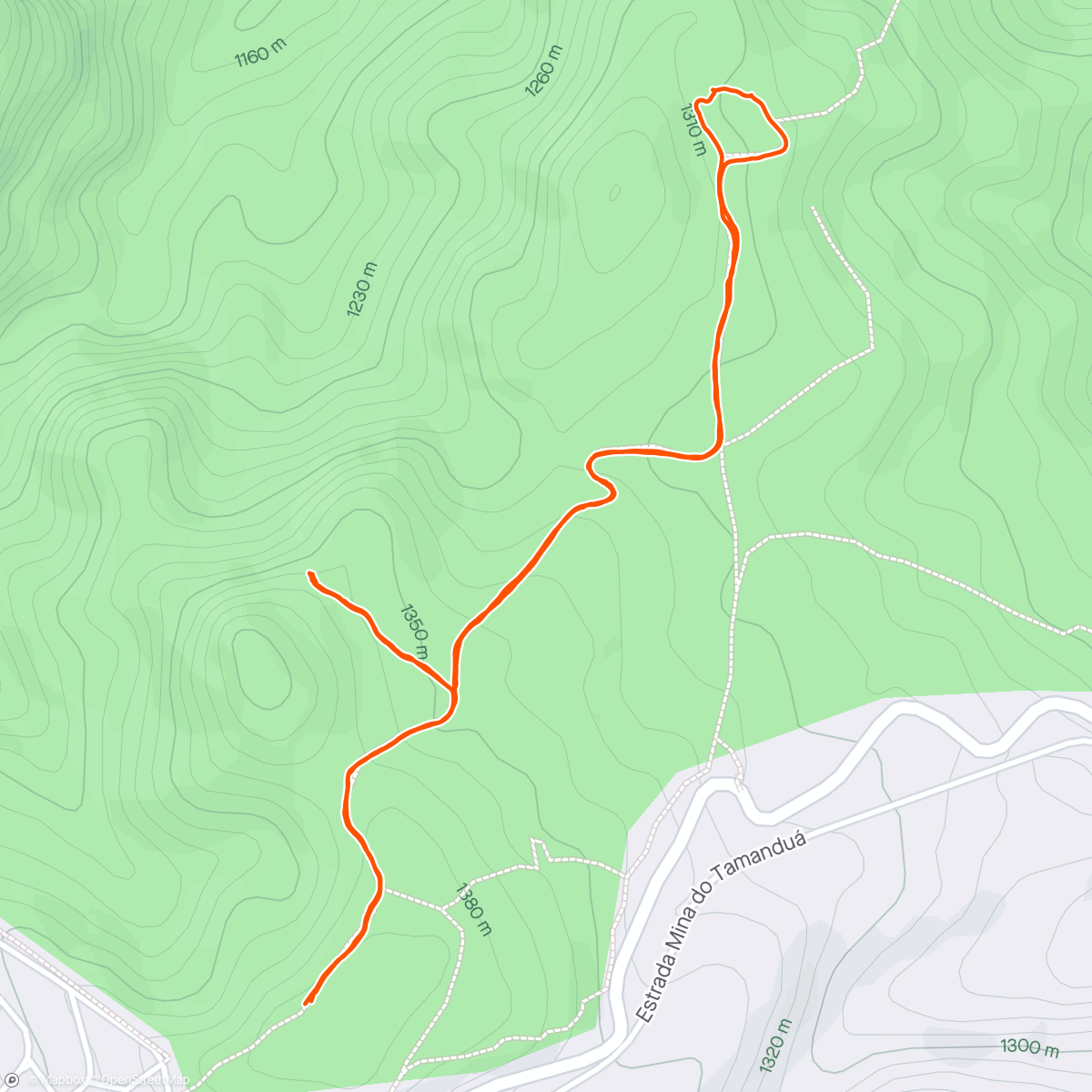 Mappa dell'attività Trail run vespertina