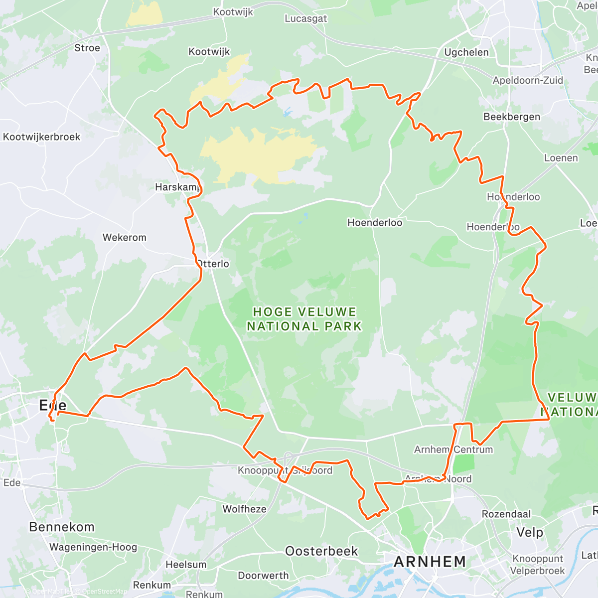 Map of the activity, Bospadenpret in de mist