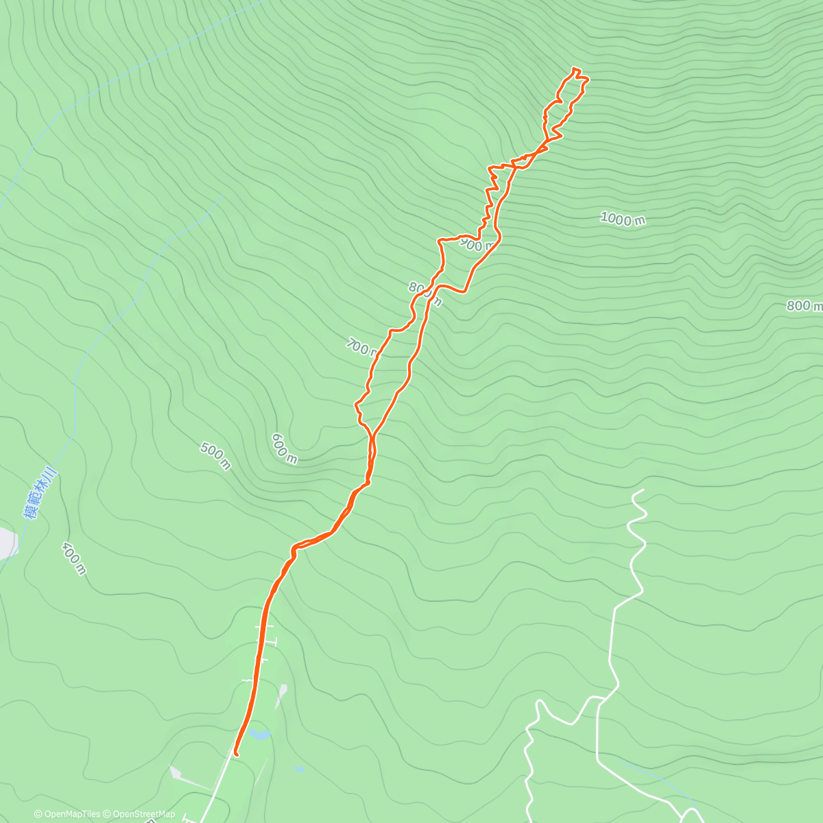 Карта физической активности (Yotei BC w/ Teto)