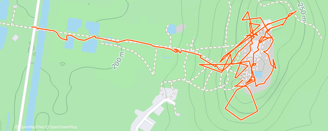 Карта физической активности (SIGIRYA)