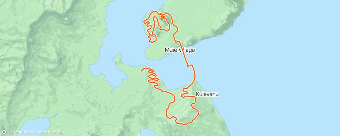 Map of the activity, Zwift - 1h15 FatMax in Watopia