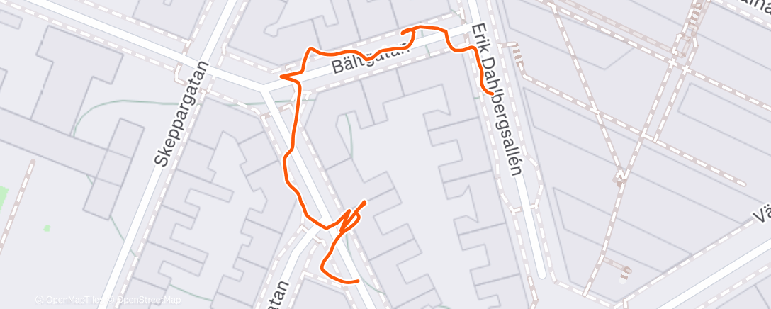 Map of the activity, Morning Walk