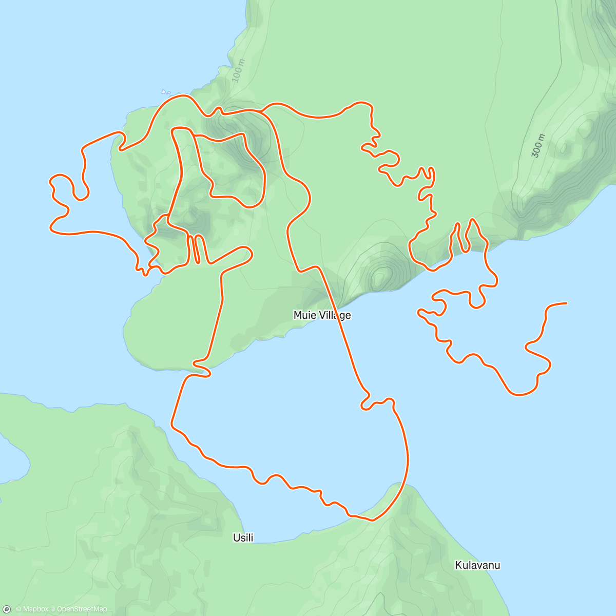 Map of the activity, Zwift - Tair Dringfa Fechan in Watopia