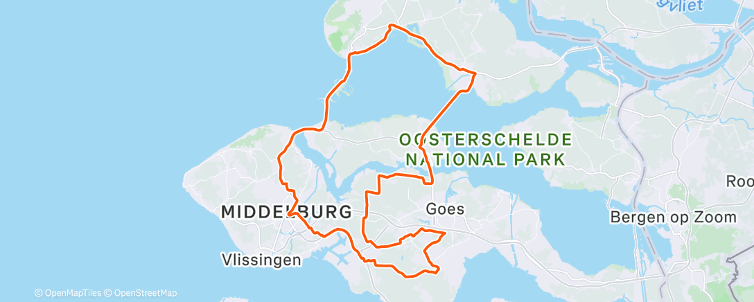 Карта физической активности (Summer is magic ☀️)