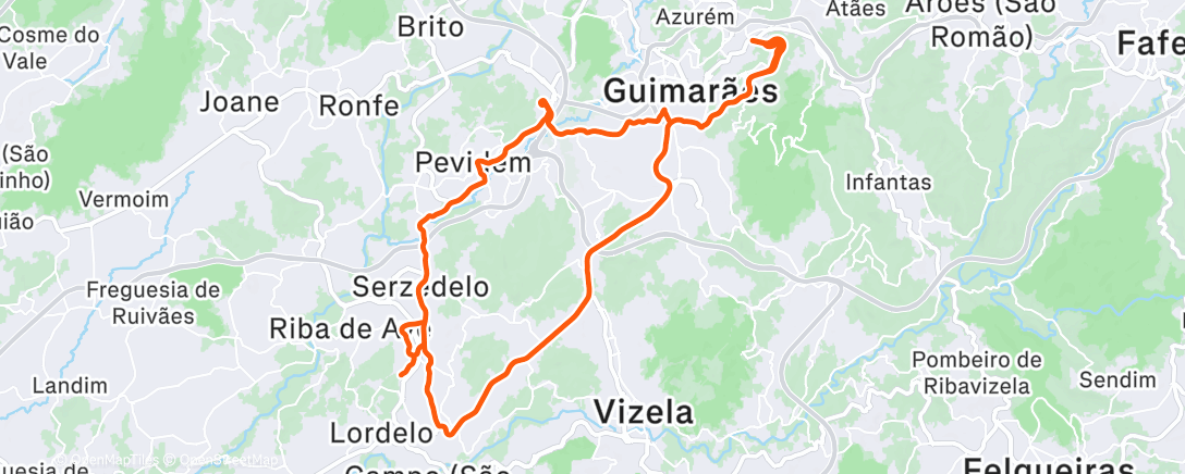 Карта физической активности (2025-12-29Ride)