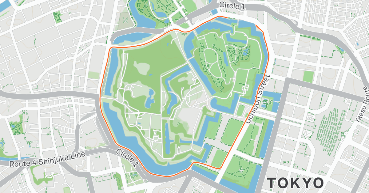 Morning Run | Strava