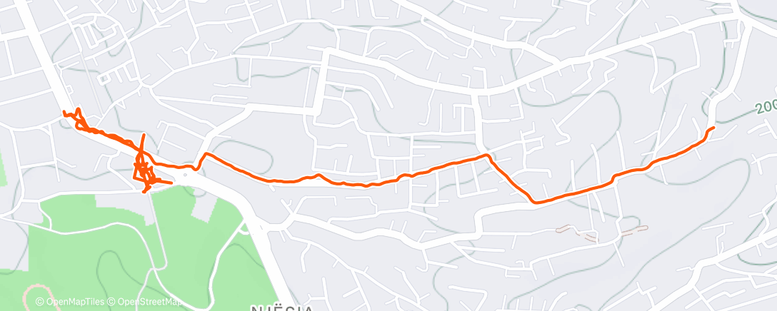 Карта физической активности (Дневная прогулка)