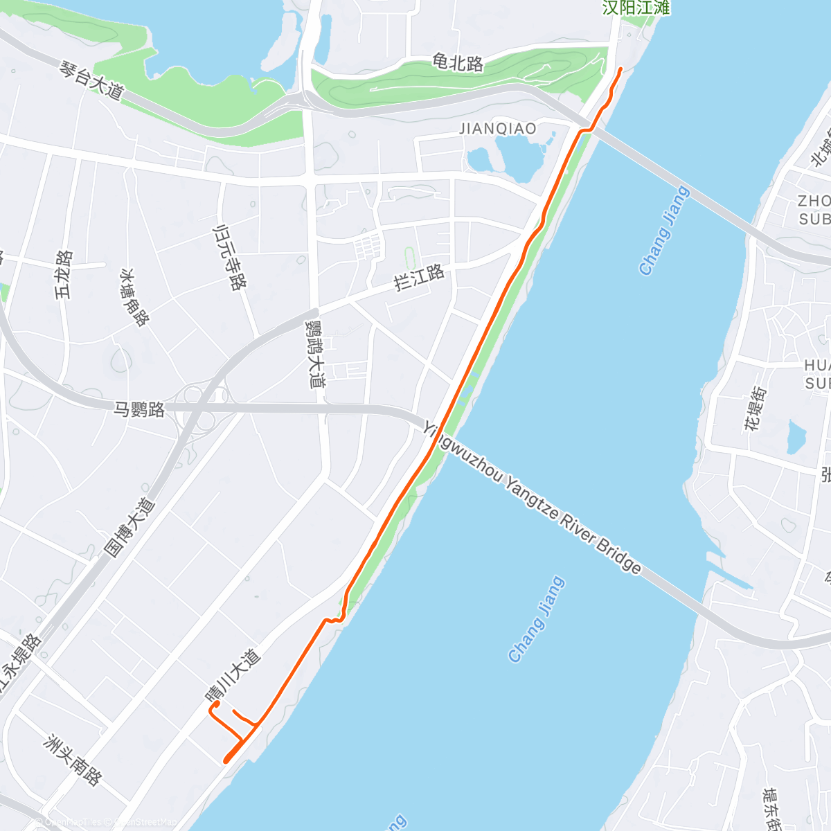 Mappa dell'attività Night Run