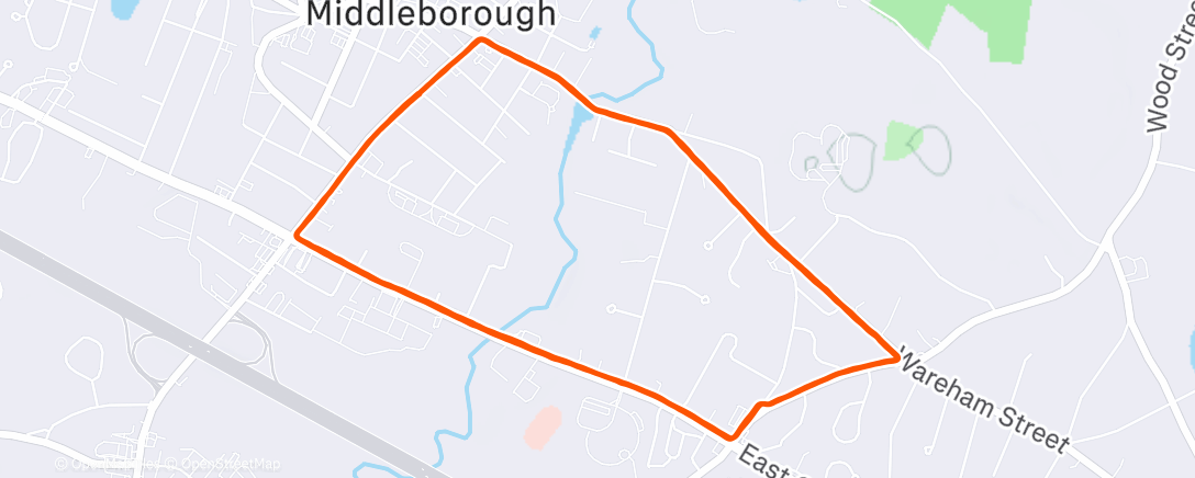 Карта физической активности (Evening Run)