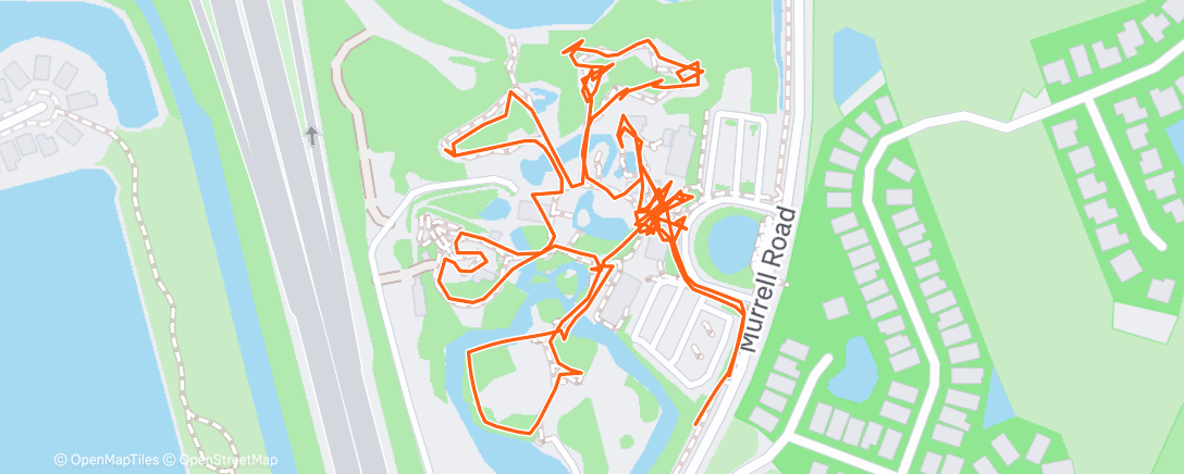 Карта физической активности (Brevard Zoo, Florida)