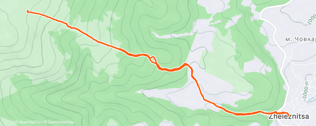 Карта физической активности (Afternoon Trail Run)