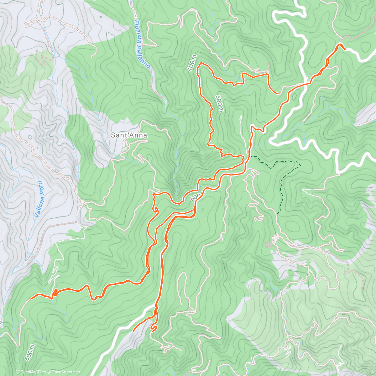 Карта физической активности (Afternoon Trail Run)