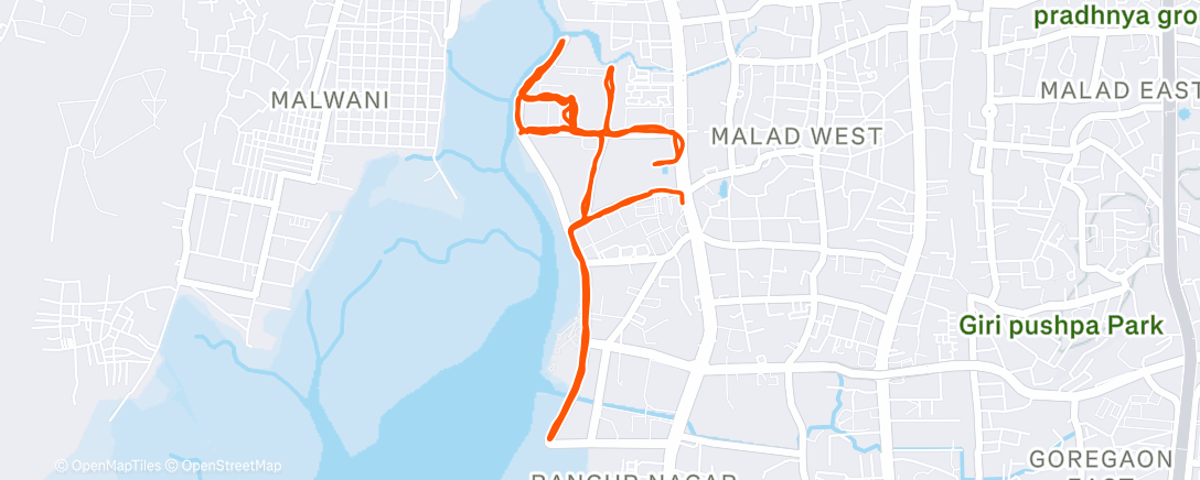 Map of the activity, Morning Run