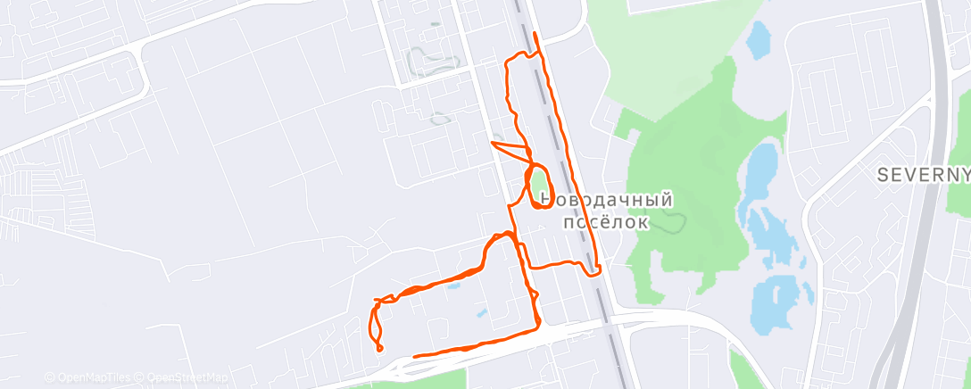 Map of the activity, Дневной забег