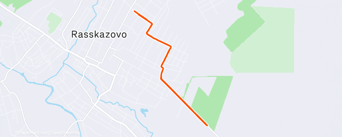 Карта физической активности (Дневной забег)