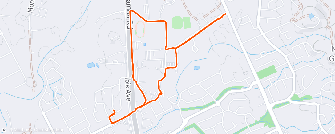 Карта физической активности (Last Monday of the year)