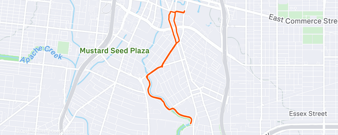 Map of the activity, Morning Run