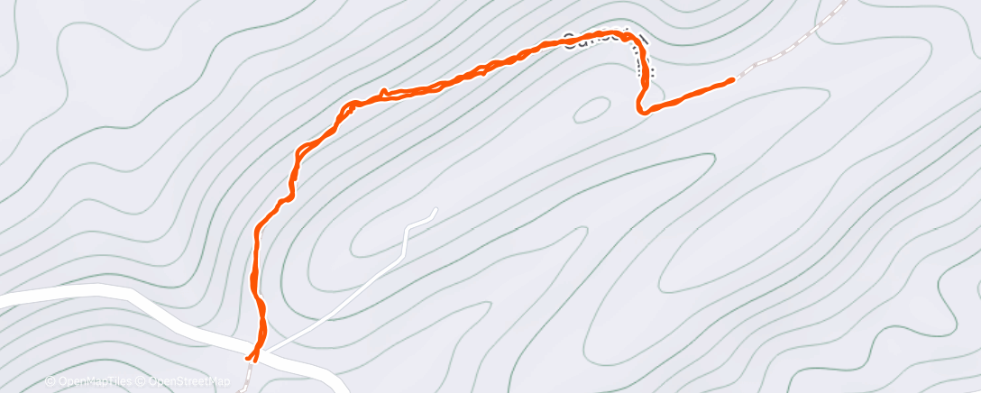 Карта физической активности (75 lbs pack)