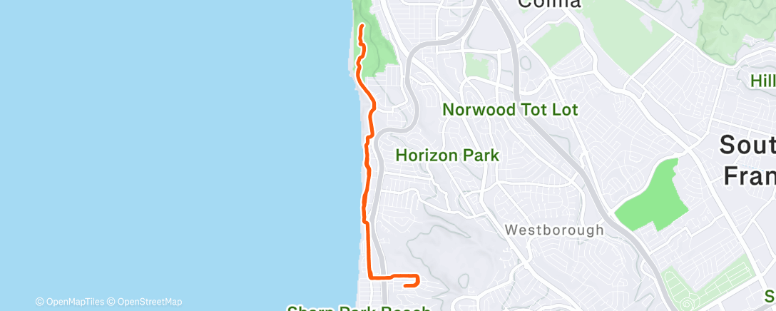 Карта физической активности (Morning Run)