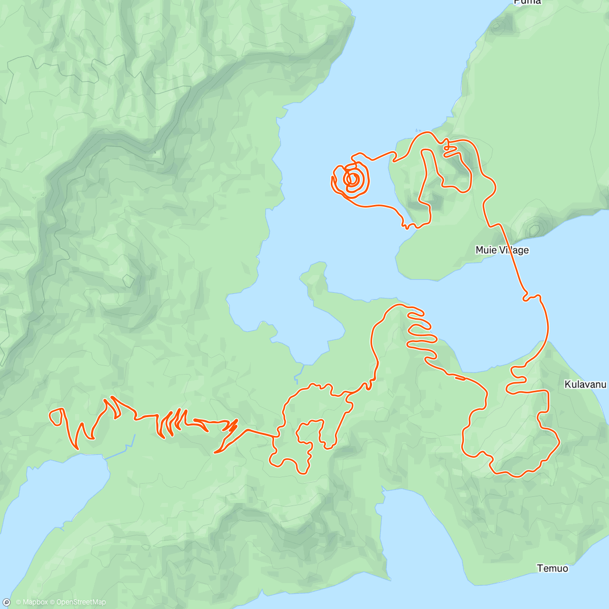 Mappa dell'attività Zwift - New Workout on Four Horsemen in Watopia