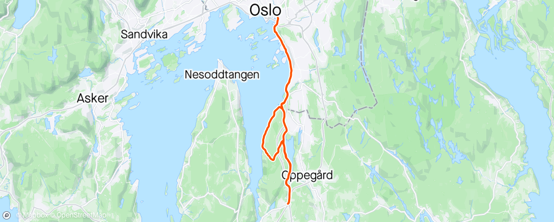 Map of the activity, Svartskogrunden