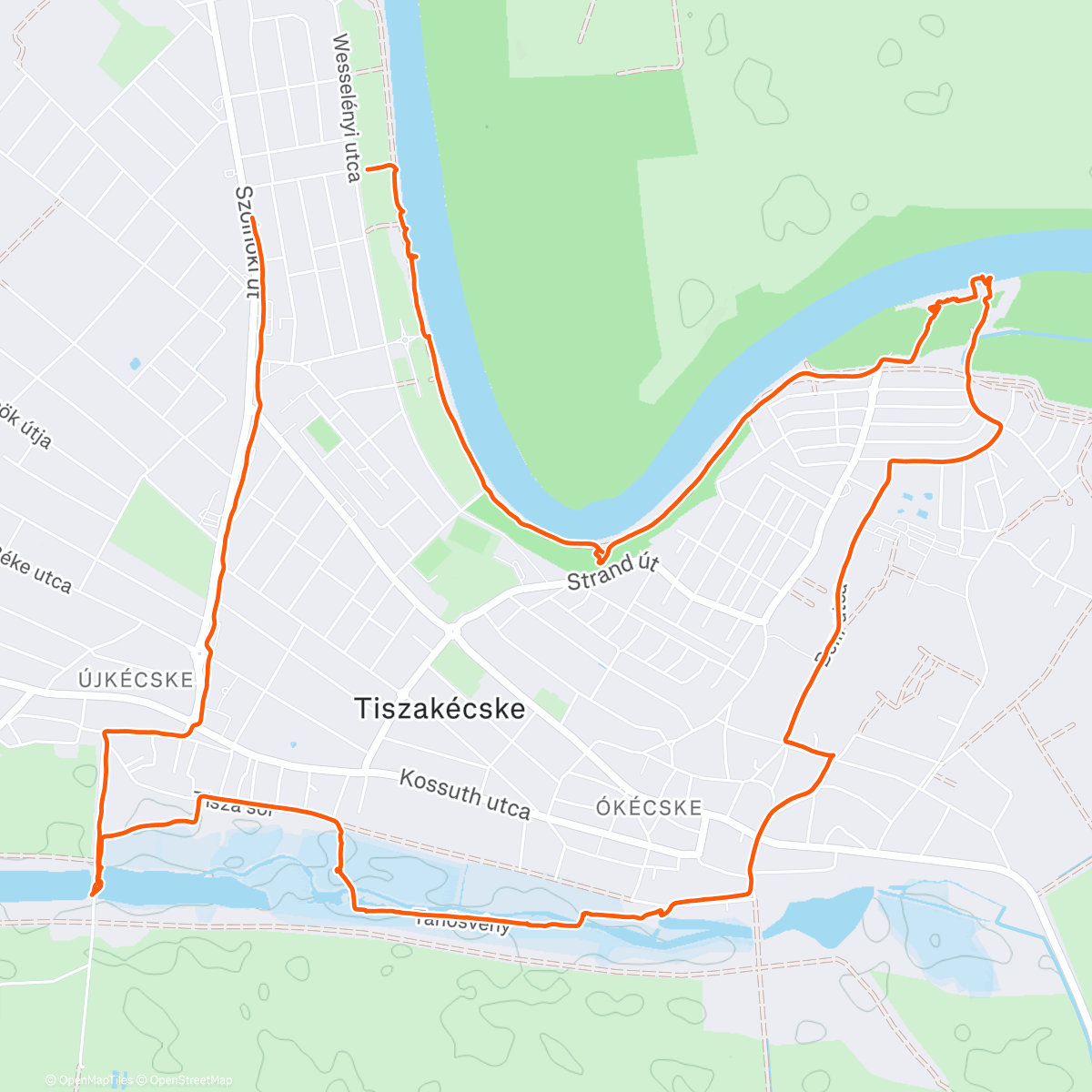 Карта физической активности (Morning Trail Run)