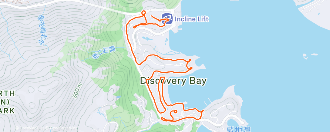 Карта физической активности (Afternoon Run)