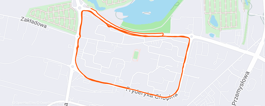 Карта физической активности (Evening Run)