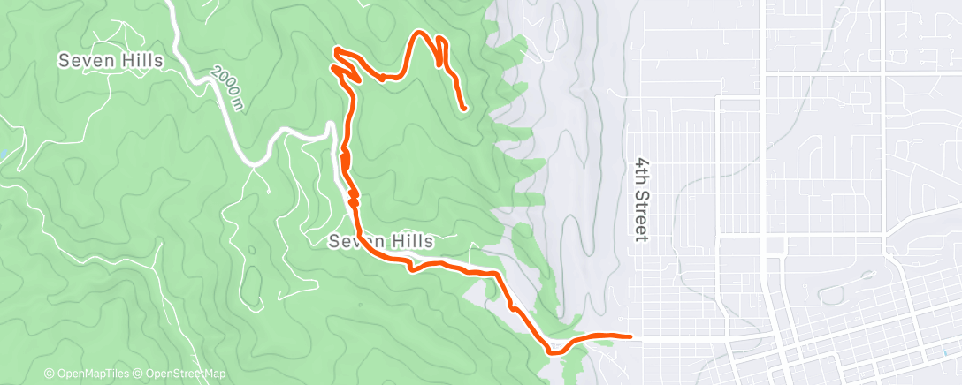 Map of the activity, 🦁