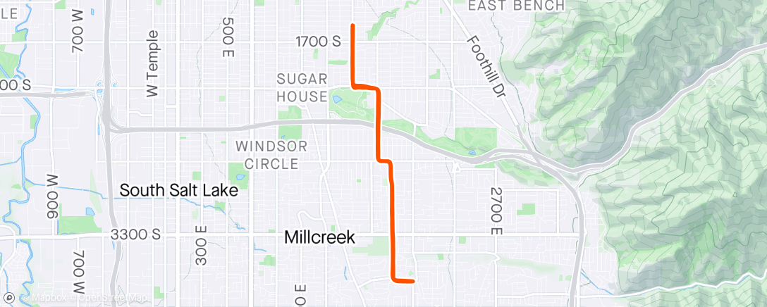 Map of the activity, 8 mile easy pace