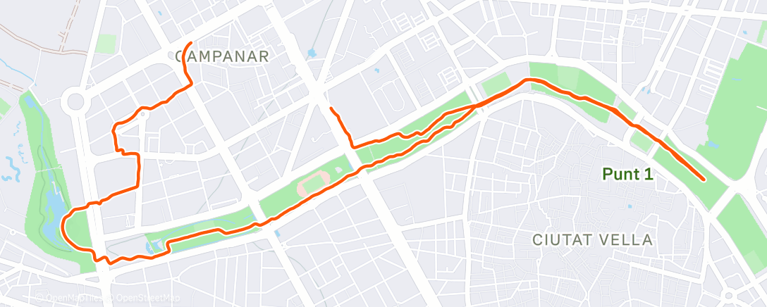 Карта физической активности (Morning Run)