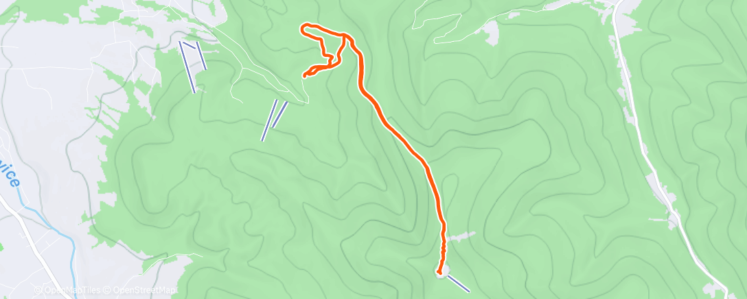 Map of the activity, LH