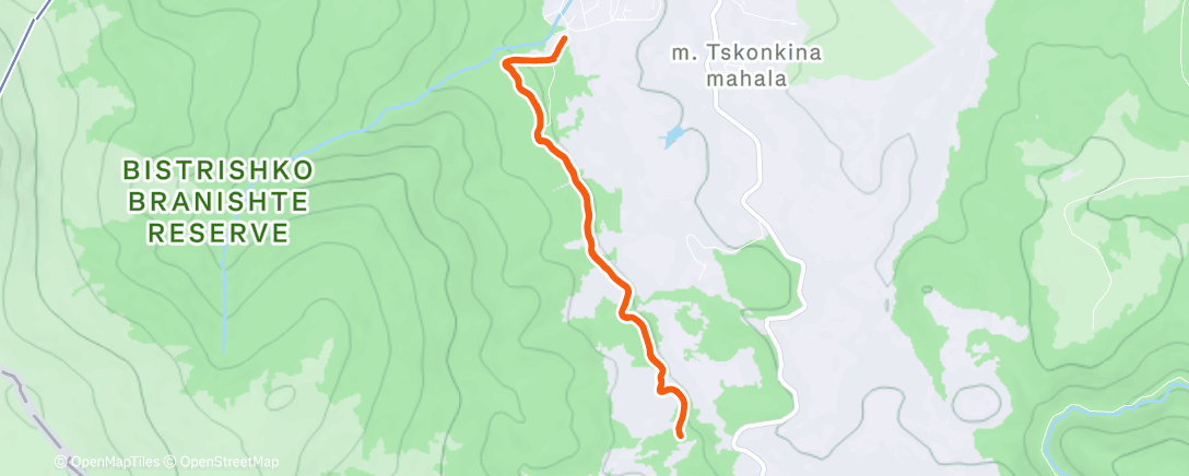 Карта физической активности (Afternoon Hike)