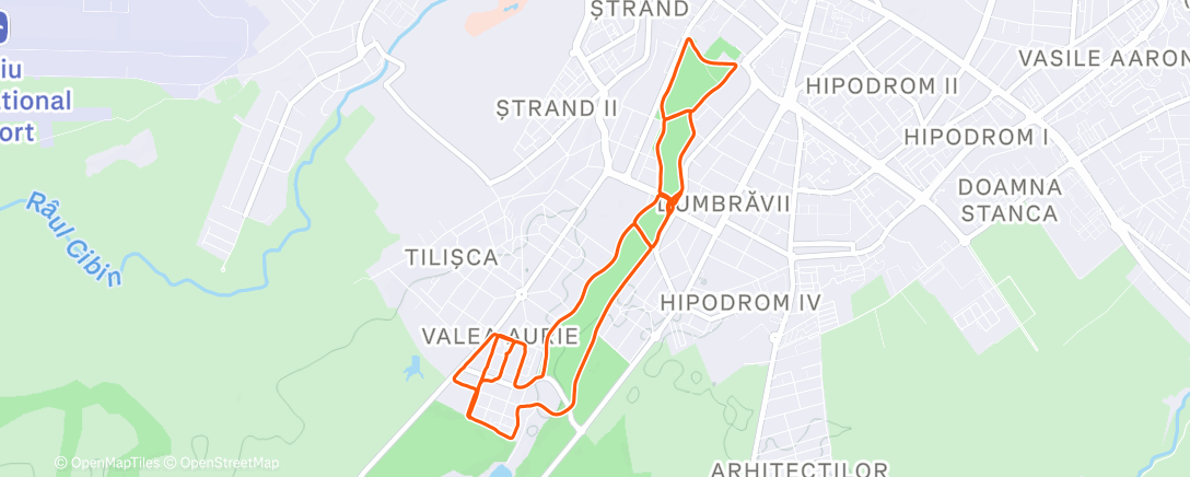 Карта физической активности (Evening Trail Run)