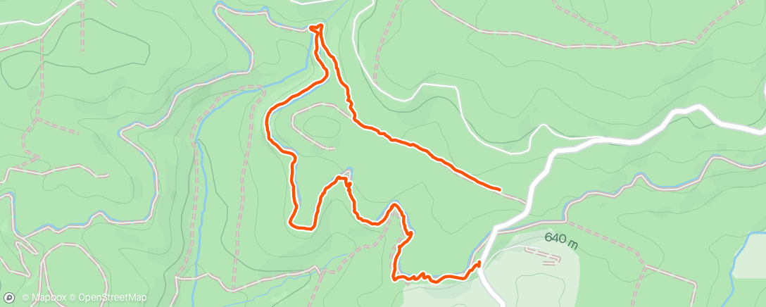 Mapa de la actividad, Walking