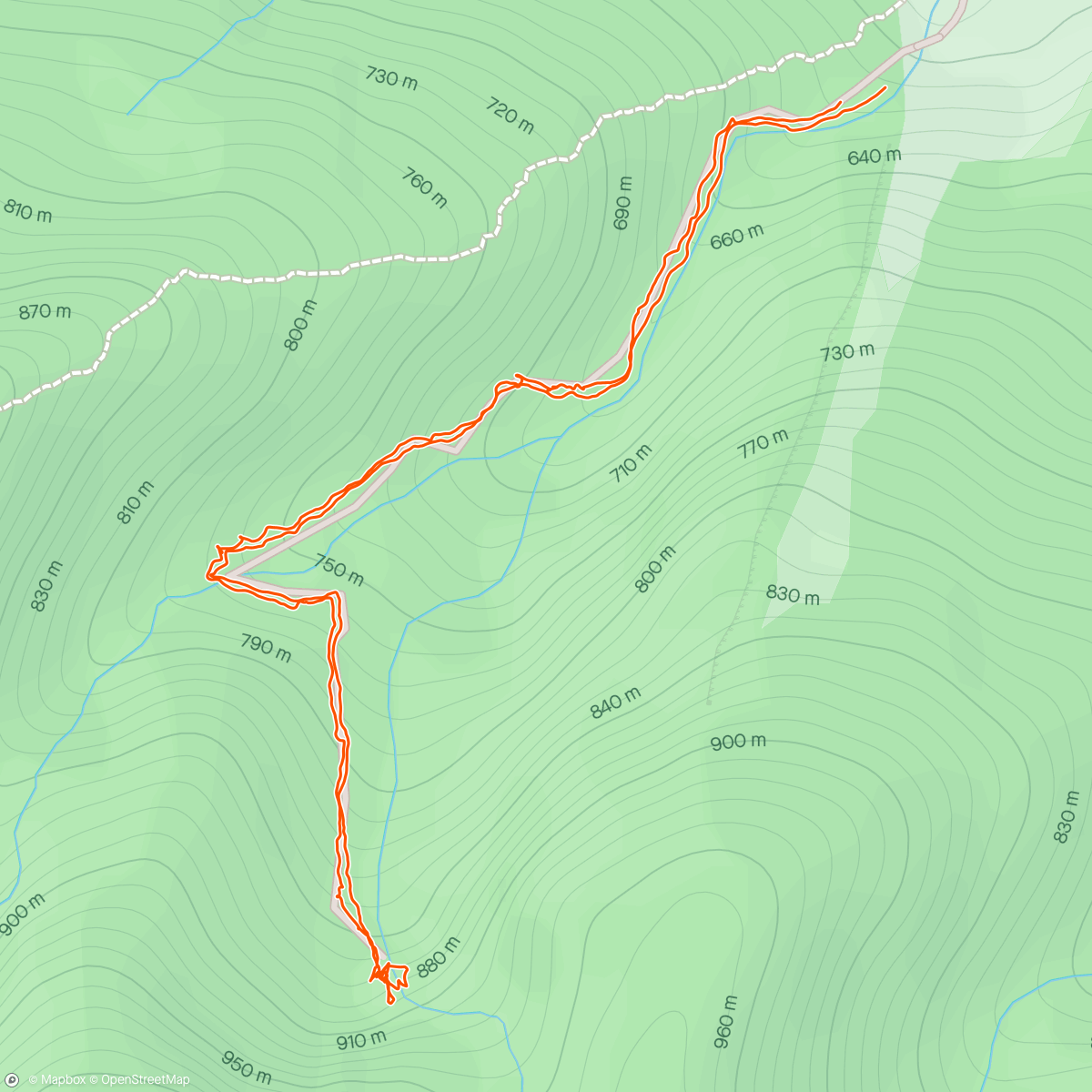 Mapa de la actividad (Cascada Scoruș)