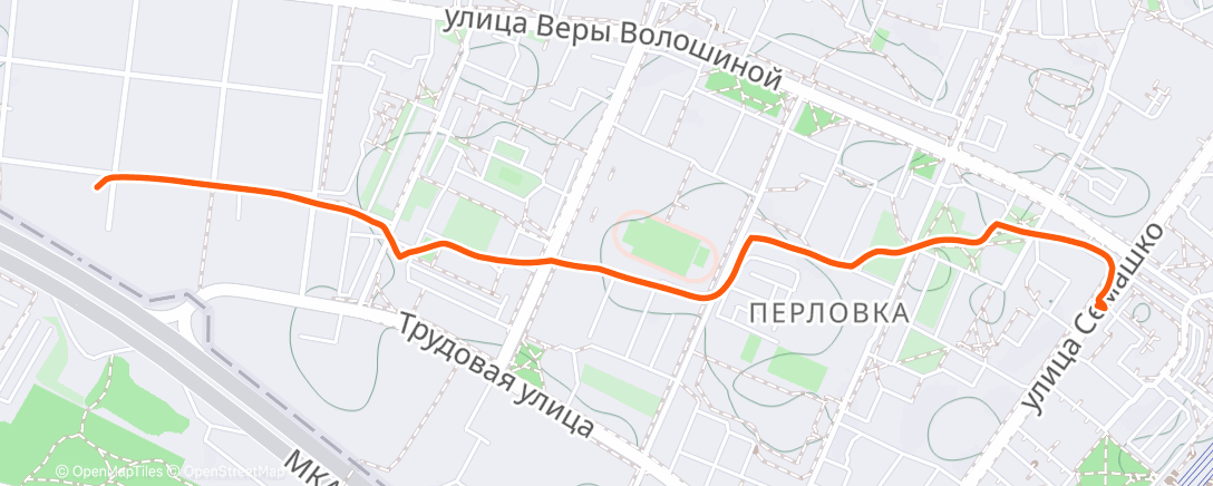 Карта физической активности (Вечерняя прогулка)