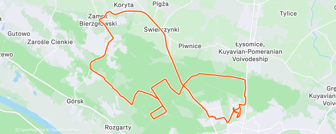 Карта физической активности (Morning Gravel Ride)