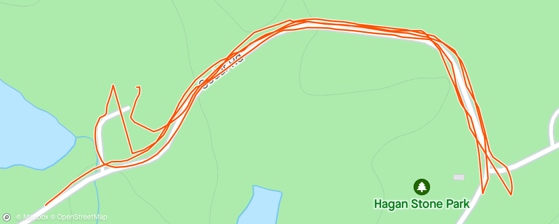 Map of the activity, Running back and forth during he championship race