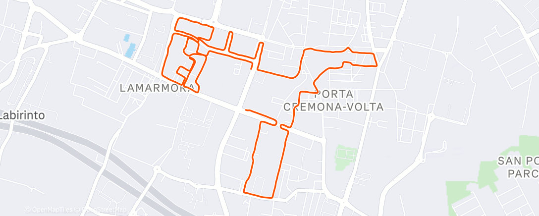 Карта физической активности (Monday Evening Run)