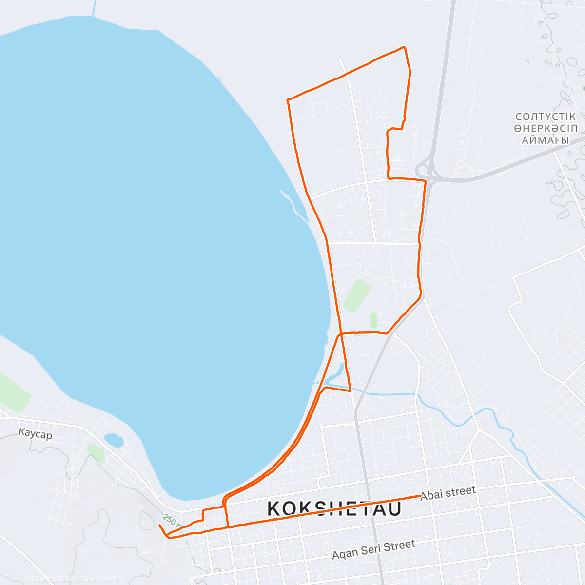 Карта физической активности (Первый полумарафон в 2025 году)